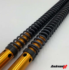 Andreani Adjustable Cartridge kit "RALLY" KTM 790 Adventure (+30mm) 2023-24