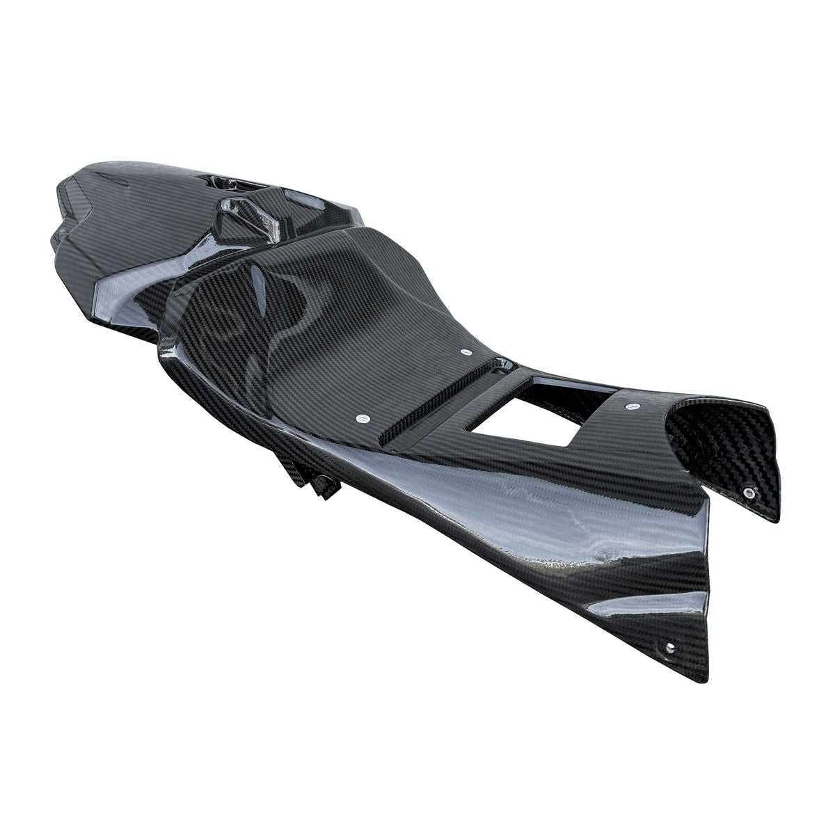 low race tail roll race oblique view bmw s1000rr m1000rr Alpha racing carbon tail unit