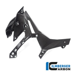 Alpha Racing Ilmberger Carbon Radiator cover right