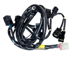 Starlane PK4CH IONIC NRG and Power Shift NRG on Honda CBR 600-1000