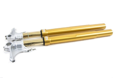 Ohlins FGRT 218 Upside Down Front Fork Road & Track