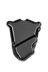 Carbonin Carbon Fiber Pick Up 2009-2019 BMW S1000RR