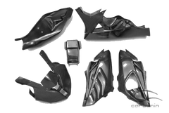 Carbonin Carbon Fiber Race Bodywork RACE Exhaust 09-14 BMW S1000RR