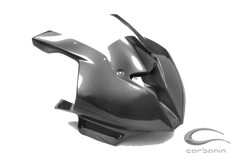 Carbonin Carbon Fiber Race Bodywork RACE Exhaust 09-14 BMW S1000RR