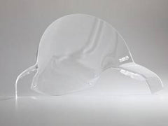 Extreme Components windscreen clear high protection S1000RR 20-21 (HP)
