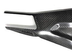 Extreme Components Carbon Swingarm protection BMW S1000RR (2019/2020)