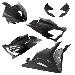 Alpha Racing Fairing kit 6-piece fibreglass BMW M1000RR 2021