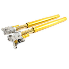 Alpha Racing Öhlins FGR 300 racing front fork BMW S1000RR/HP4 2009-2021,M1000RR 2021-