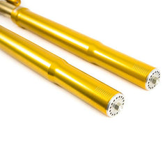 Alpha Racing Öhlins FGR 300 racing front fork BMW S1000RR/HP4 2009-2021,M1000RR 2021-