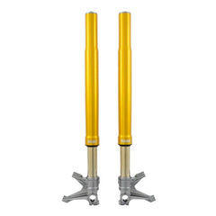 Alpha Racing Öhlins FGR 250 racing front fork BMW S1000RR/HP4 2009-2021,M1000RR 2021-