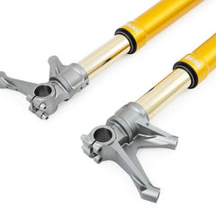 Alpha Racing Öhlins FGR 250 racing front fork BMW S1000RR/HP4 2009-2021,M1000RR 2021-