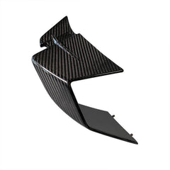 Alpha Racing Winglet left side carbon