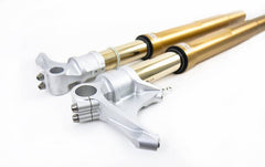 Ohlins FGRT 231 Upside Down Front Fork Road & Track