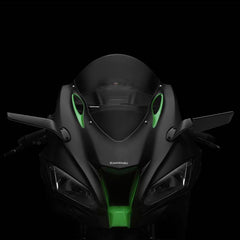 Stealth Kawasaki Ninja 1000 ZX-10R SE (2019 - 20)