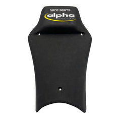 Alpha Racing Seat bench plate 10 mm carbon BMW S1000RR 2019- and BMW M1000RR 2021-