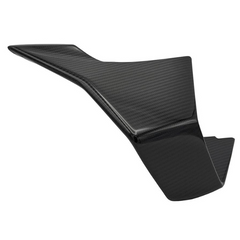 Alpha Racing Winglet left side carbon 23+ M1000RR