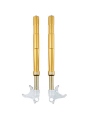 Ohlins FGRT 232 Upside Down Front Fork Road & Track