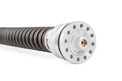 Ohlins TTX 25 Cartridge Kit (FKR 100) FKR 134 (Panigale V2 S)