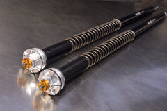 Andreani Plug&Play "MISANO" cartridge not adjustable Harley Davidson FLH/FLT Road King 2014-24