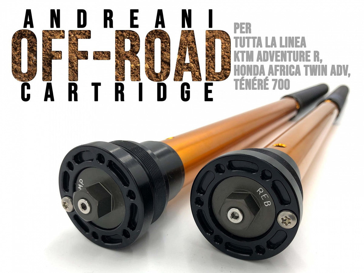 Andreani Adjustable RALLY RACE Cartridge kit Aprilia Tuareg 660 2022-2024