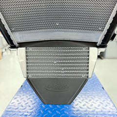 Alpha Racing Cover on OEM Radiator M1000RR