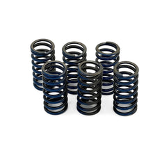 Alpha Racing BMW Motorrad Motorsport clutch set