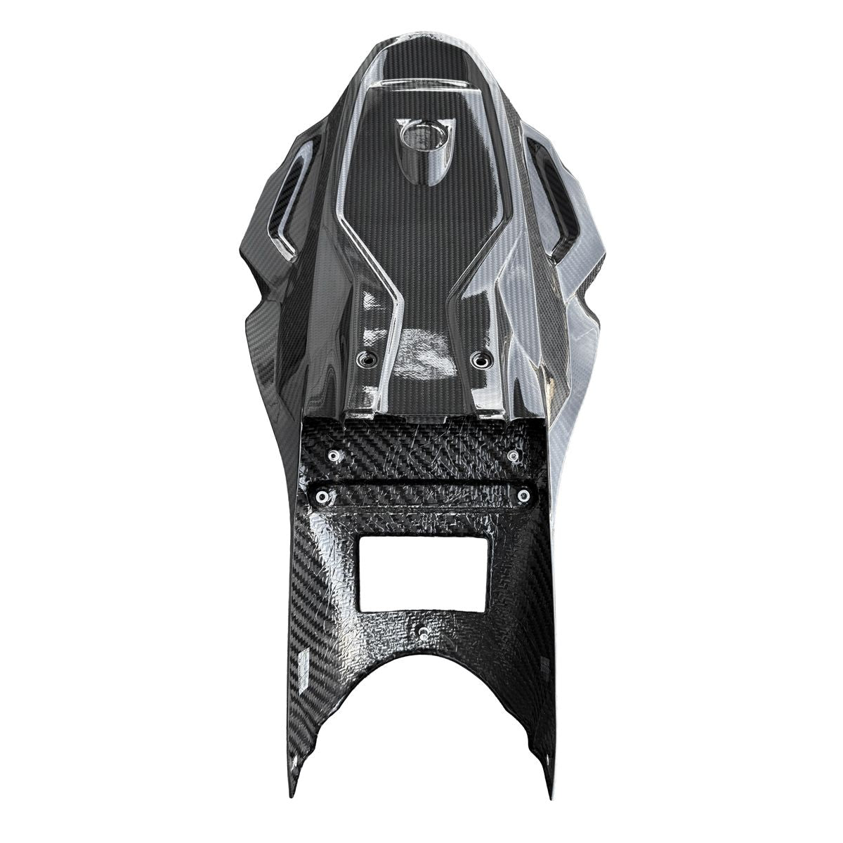 Underside full race tail low version carbon iber BMW s1000rr M1000rr Alpha racing