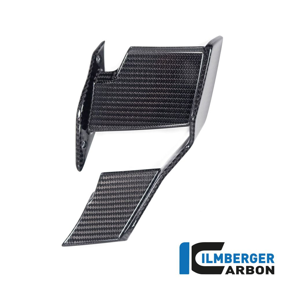 Alpha Racing Ilmberger Carbon Winglet left side
