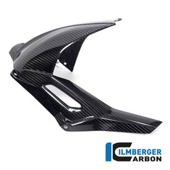 Alpha Racing Ilmberger Carbon Rear fender