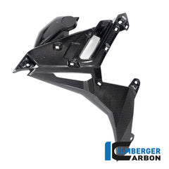 Alpha Racing Ilmberger Carbon Radiator cover left