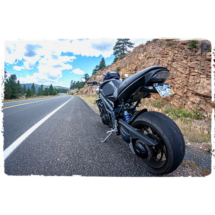 TechSpec TRIUMPH SPEED TRIPLE  (2005 - 10) SnakeSkin Tank Grips: Free Center Tank Protector 3 Included