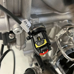 Alpha Racing Wiring loom upgrade oil pressure and temperature