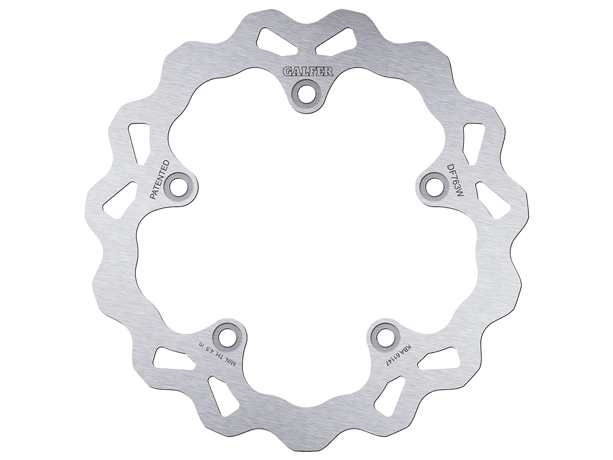 Galfer BMW F900 / F800 Rear Brake Rotor