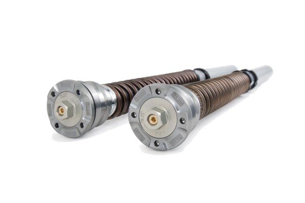 Ohlins FGK 234 NIX 30 Cartridge Kit