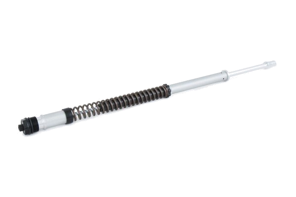 Ohlins FKS 204 NIX 22 Cartridge Kit