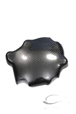 Carbonin Carbon Fiber Pick Up 2005-2006 Kawasaki ZX-6R/636