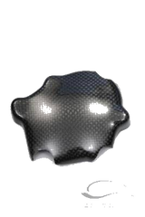 Carbonin Carbon Fiber Pick Up 2005-2006 Kawasaki ZX-6R/636