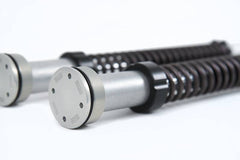 Öhlins FKA Cartridge Kit Custom & Heritage FKC 102