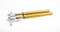 Ohlins FGRT 237 Upside Down Front Fork Road & Track
