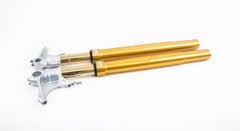 Ohlins FGRT 232 Upside Down Front Fork Road & Track