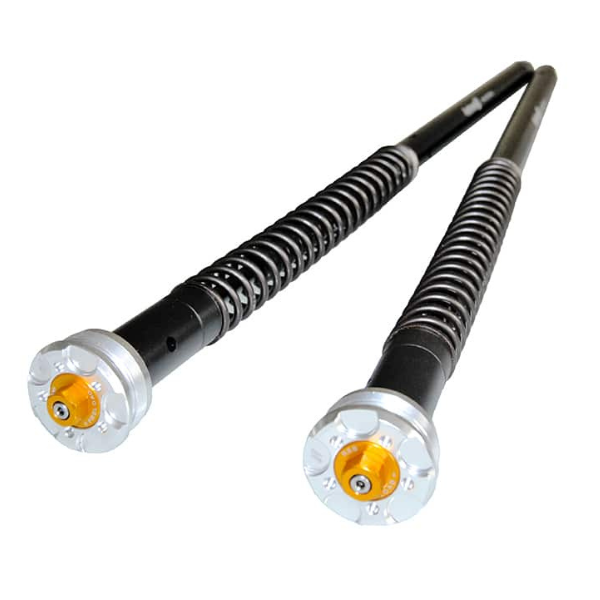 Andreani Adjustable Cartridge kit "MISANO EVO" KRAMER HKR EVO2 S 2022