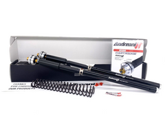 Andreani Adjustable Cartridge kit "MISANO EVO" ZERO ZERO SR-S 2022-