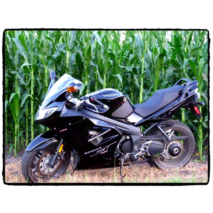 TechSpec TRIUMPH SPRINT (2005 - 12)  SnakeSkin Tank Grips