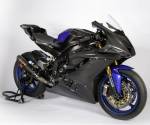 Carbonin - Carbonin Carbon Fiber Race Bodywork (4 Pcs w 4 Dzus) 17-20 Yamaha R6