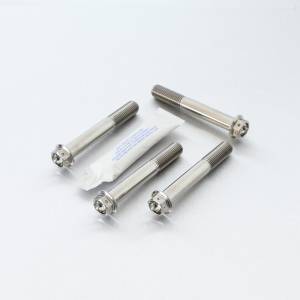 Pro Bolt - Pro Bolt Titanium Front Brake Caliper Mount Bolt Kit Race Spec (TIFBMON190R)