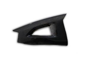 Extreme Components - Extreme Components Carbon Swingarm protection Kawasaki ZX-10R 11-15