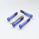 Pro Bolt - Pro Bolt Titanium Front Brake Caliper Mount Bolt Kit Race Spec (TIFBMON190R) - Image 3