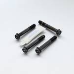 Pro Bolt - Pro Bolt Titanium Front Brake Caliper Mount Bolt Kit Race Spec (TIFBMON190R) - Image 2