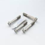 Pro Bolt - Pro Bolt Titanium Front Brake Caliper Mount Bolt Kit Race Spec (TIFBMON190R) - Image 1