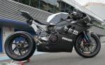 TK Dischi Freno - TK Dischi Freno Rear Rotor 245mm Ducati Panigale - Image 3